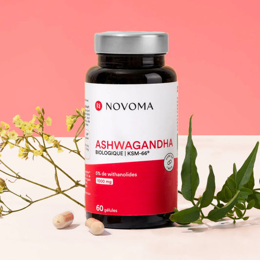 Pilulier d'Ashwagandha Bio Novoma avec des feuilles vertes sur fond rouge