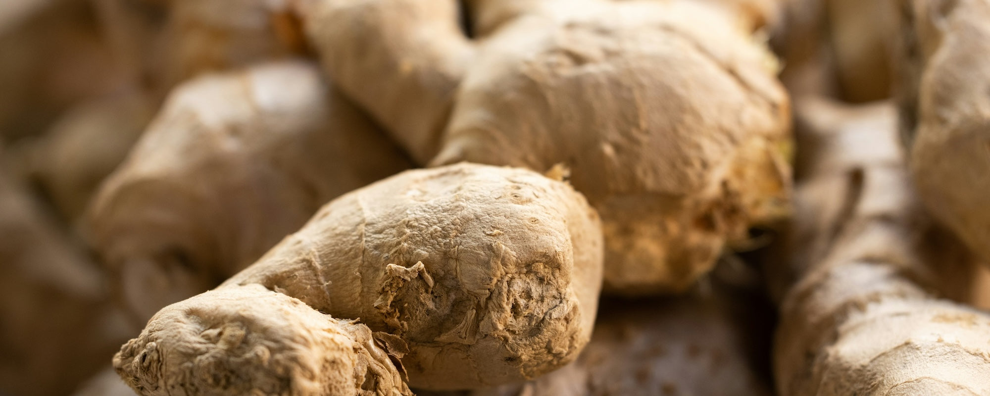 Ginger Curing Process Ginger Cure: What Benefits for Our Body? – Novoma