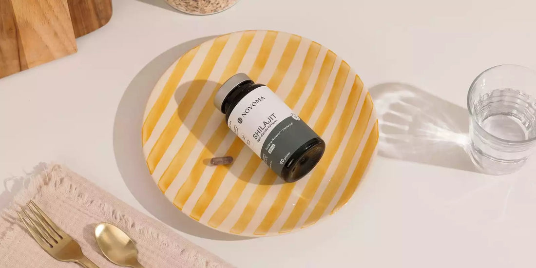 Meilleur Shilajit : comment choisir une résine pure et efficace ?