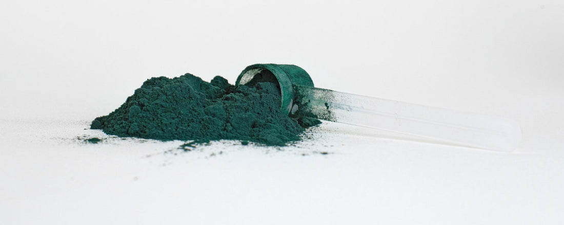 spiruline et fer