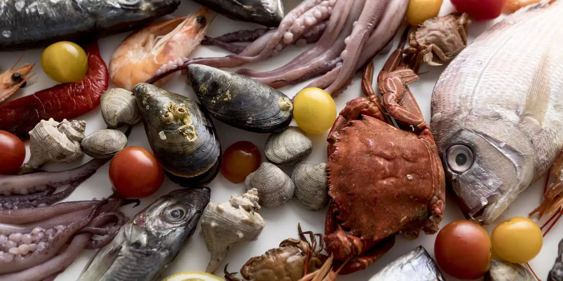 Poisson riche en fer : les champions de la mer pour retrouver votre énergie