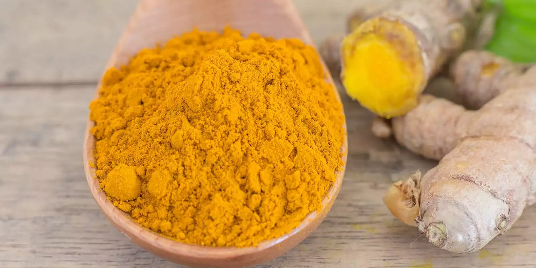 Quel est le meilleur curcuma pour votre bien-être ?