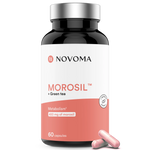 anglais_Morosil-novoma