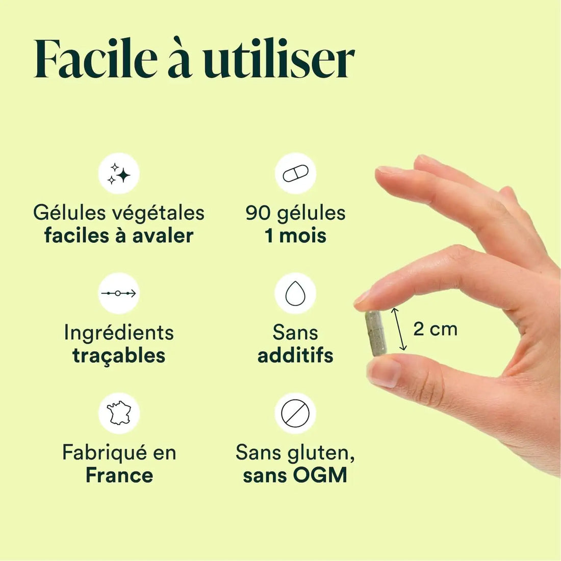 Formule Détox Bio 90 gélules