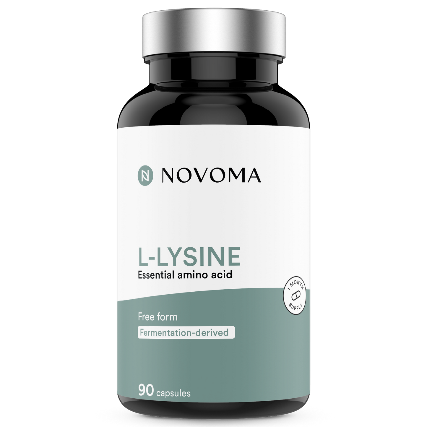 anglais-lysine novoma