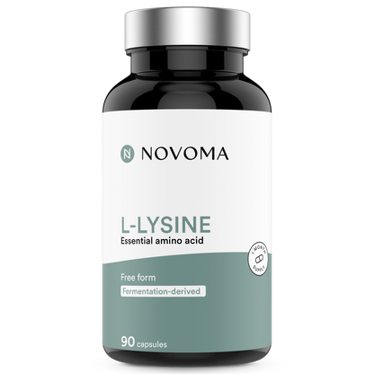 anglais-lysine novoma