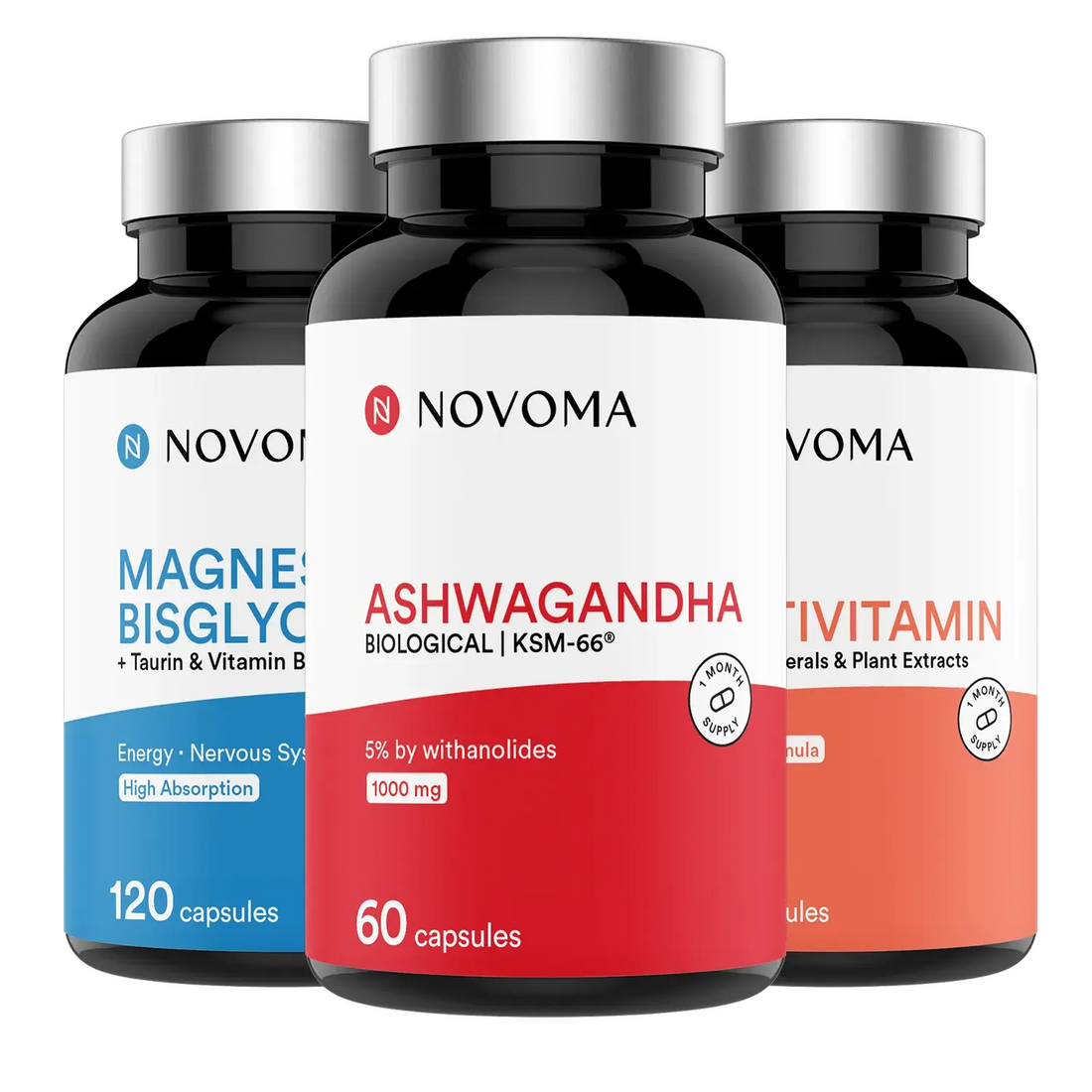 anglais-Back-to-Routine Essentials Pack