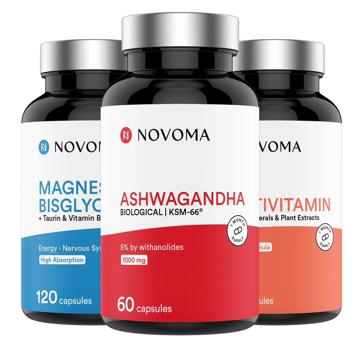 anglais-Back-to-Routine Essentials Pack