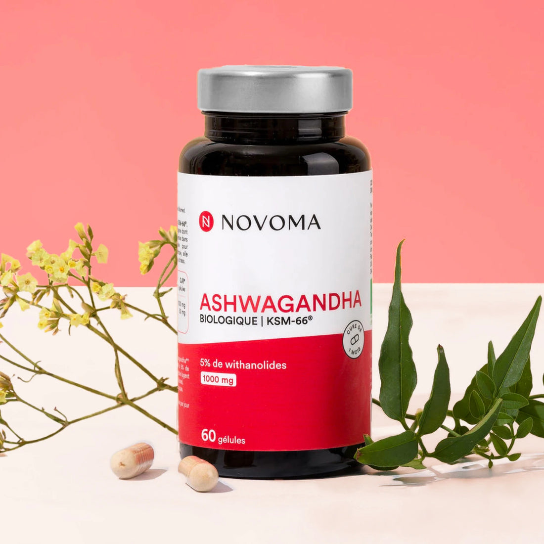 Pilulier d'Ashwagandha Bio Novoma avec des feuilles vertes sur fond rouge