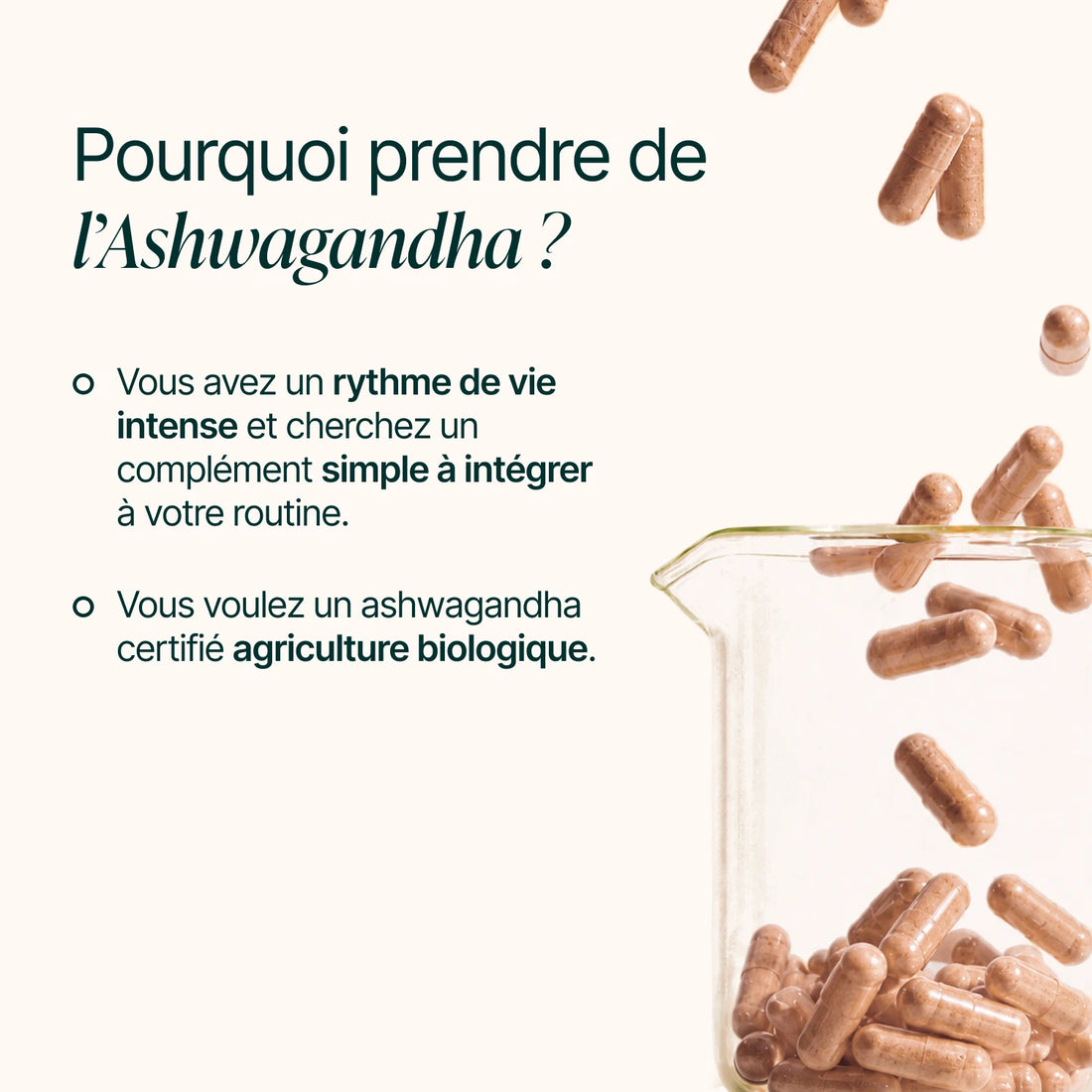 Pourquoi prendre de l'Ashwagandha : rythme de vie intense, ashwagandha certifié bio