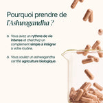 Pourquoi prendre de l'Ashwagandha : rythme de vie intense, ashwagandha certifié bio