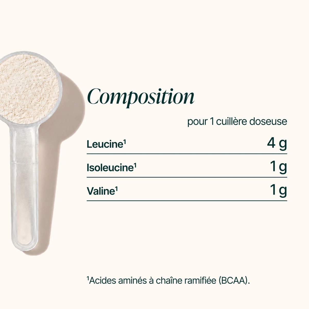 Composition des BCAA 4.1.1 : 4 g de leucine, 1 g d'isoleucine et 1 g de valine par cuillère doseuse