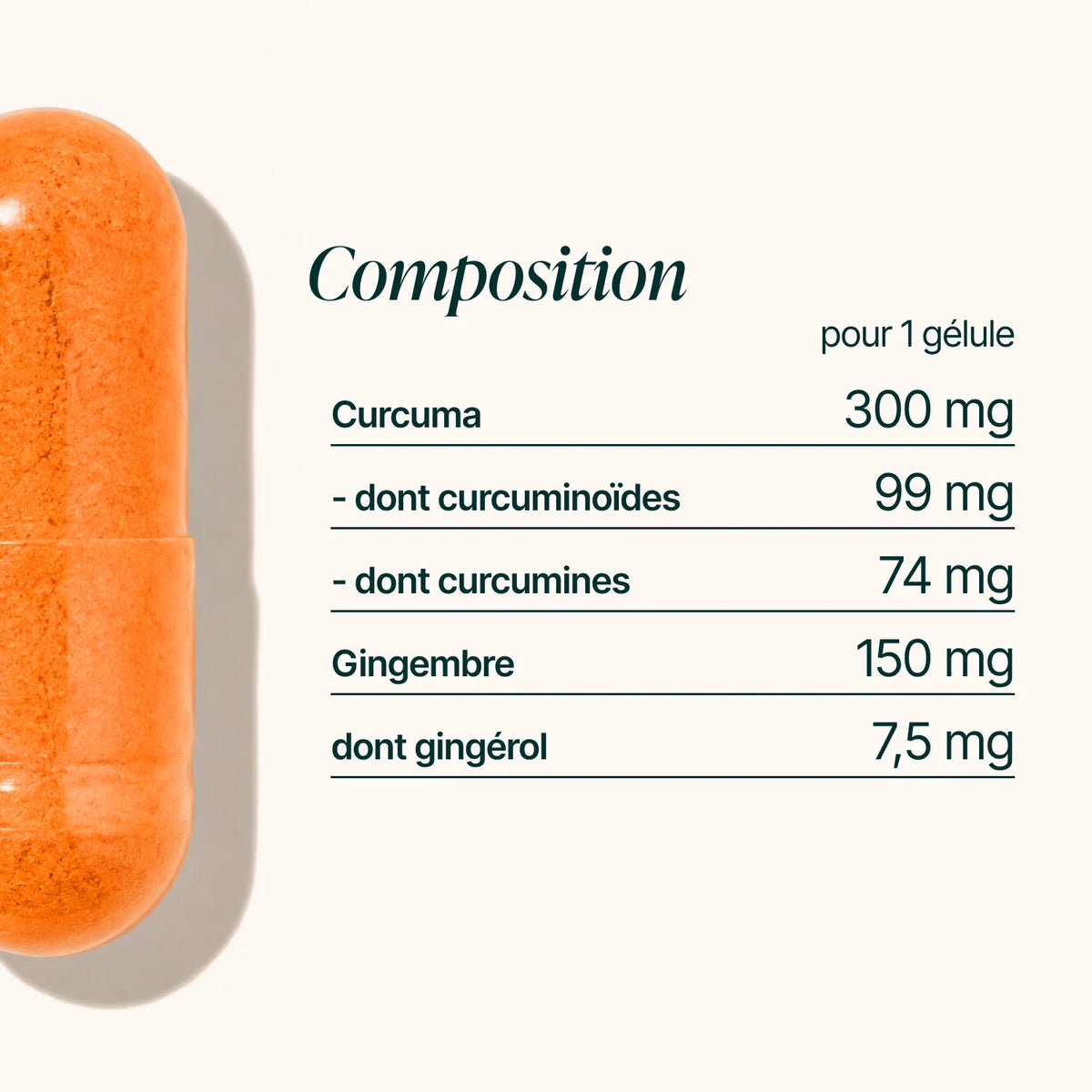 Composition du Curcuma : 300 mg de curcuma dont 99 mg de curcuminoïdes et 150 mg de gingembre par gélule