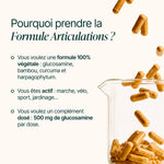 Pourquoi prendre la Formule Articulations : formule végétale dosée à 500 mg de glucosamine