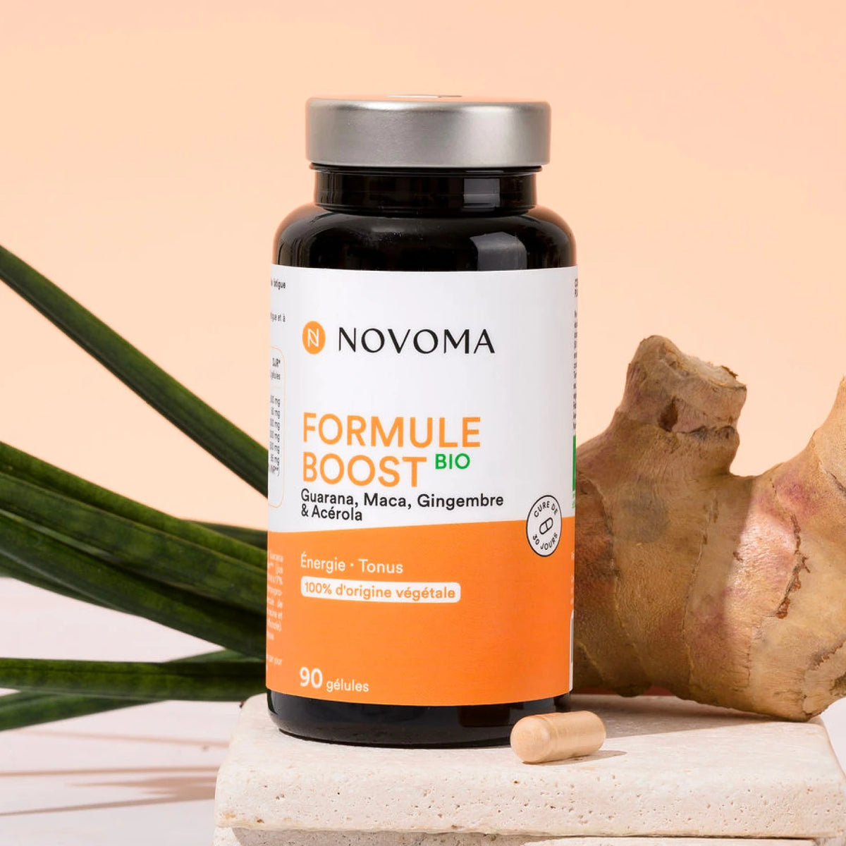 Pilulier de Formule Boost Bio Novoma avec une racine de gingembre