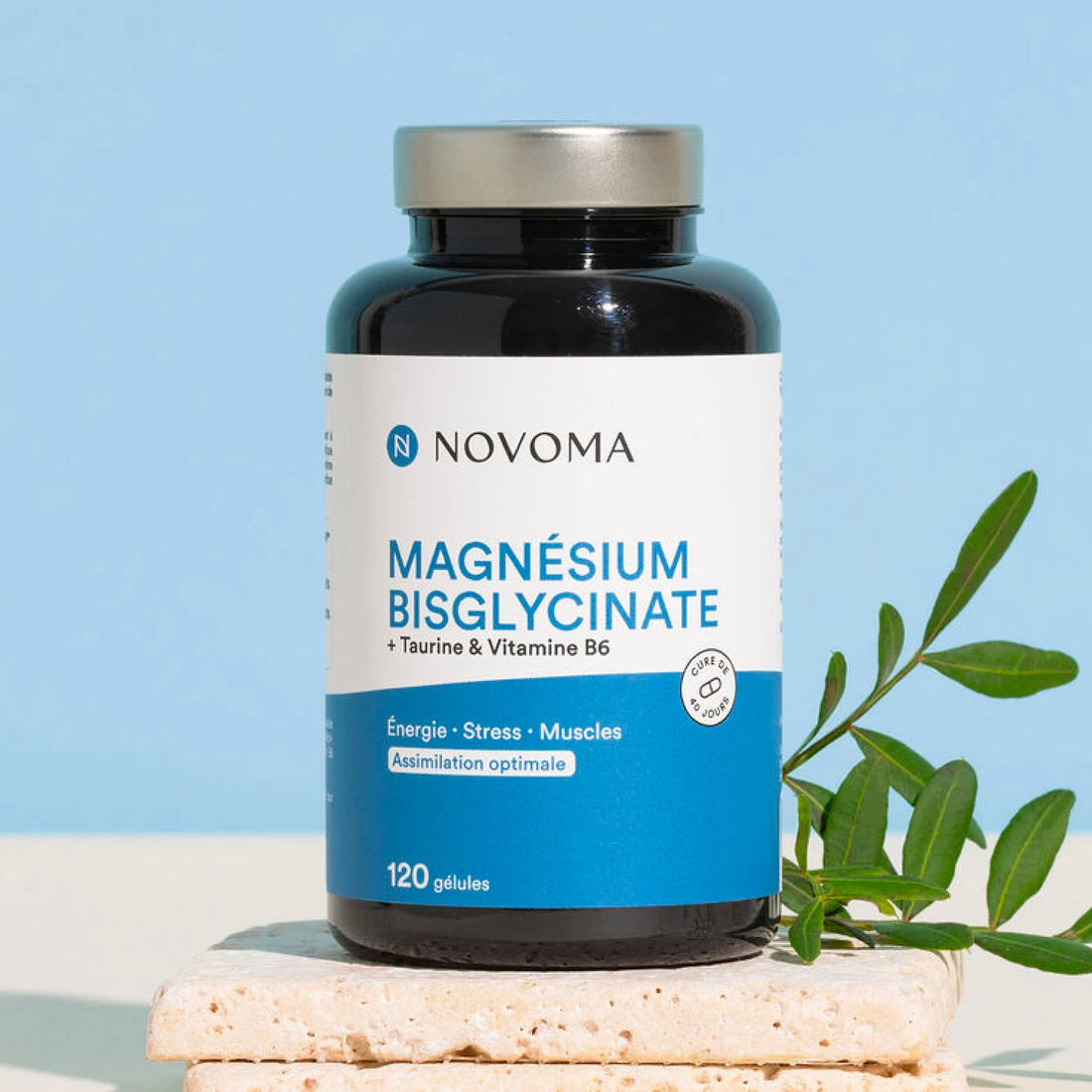 Pilulier de Magnésium Bisglycinate Novoma sur fond bleu avec feuillage vert