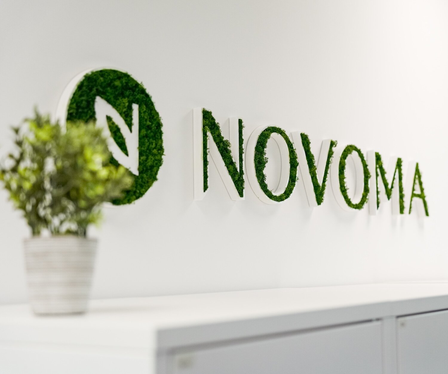 logo novoma végétal