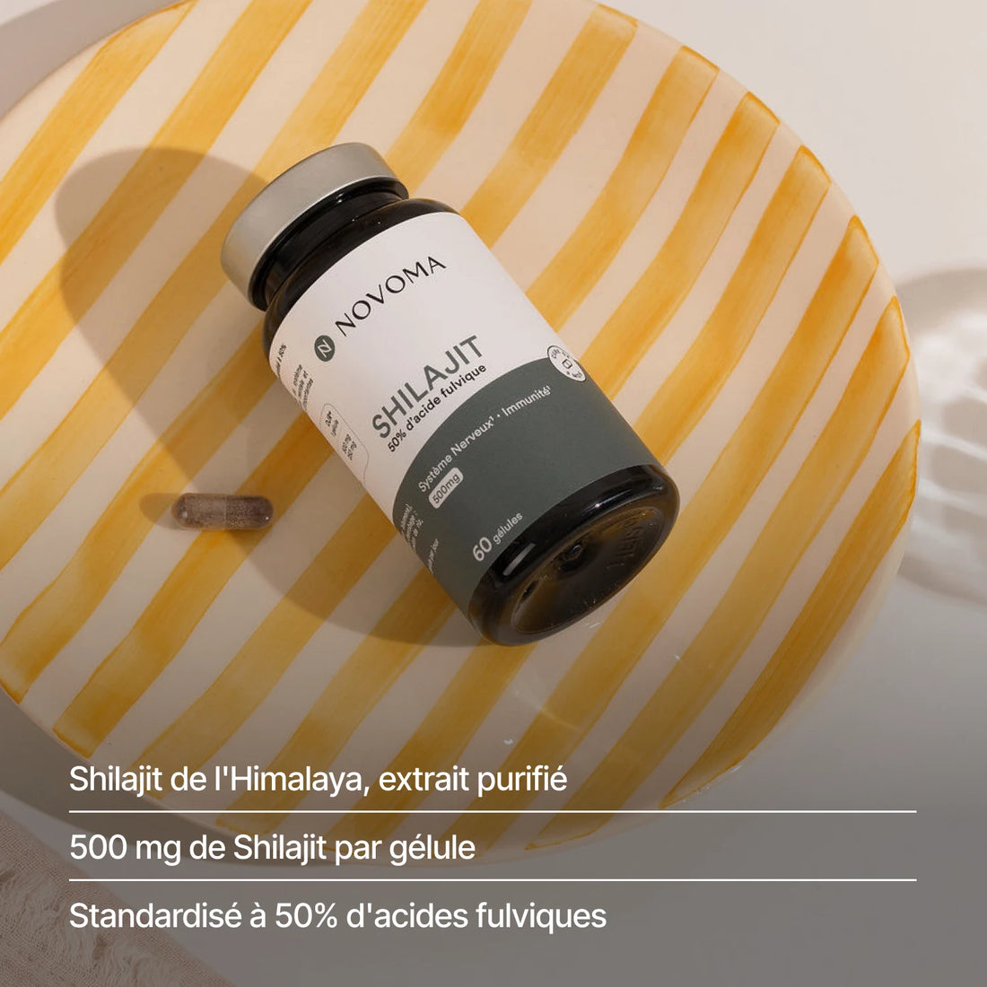 Shilajit de l'Himalaya : 500 mg par gélule, standardisé à 50 % d'acides fulviques
