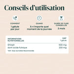 shilajit_conseils_utilisation