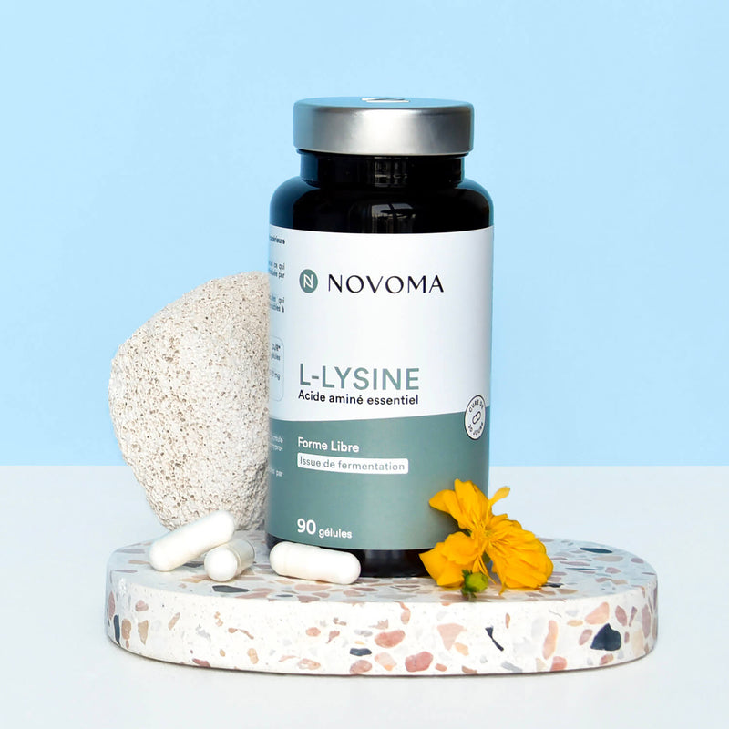 Lysine acide aminé essentiel Novoma